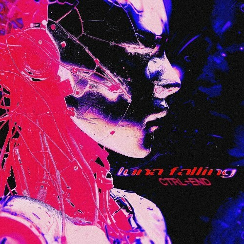 VA - Luna Falling - Ctrl plus End (2024) (MP3) MEV74AJ_o