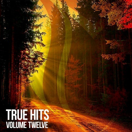 True Hits, Vol. 12 (2026)