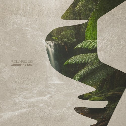 VA -  Audiofire (UK) - Polarized (2024) [MP3] MEWGDR9_o