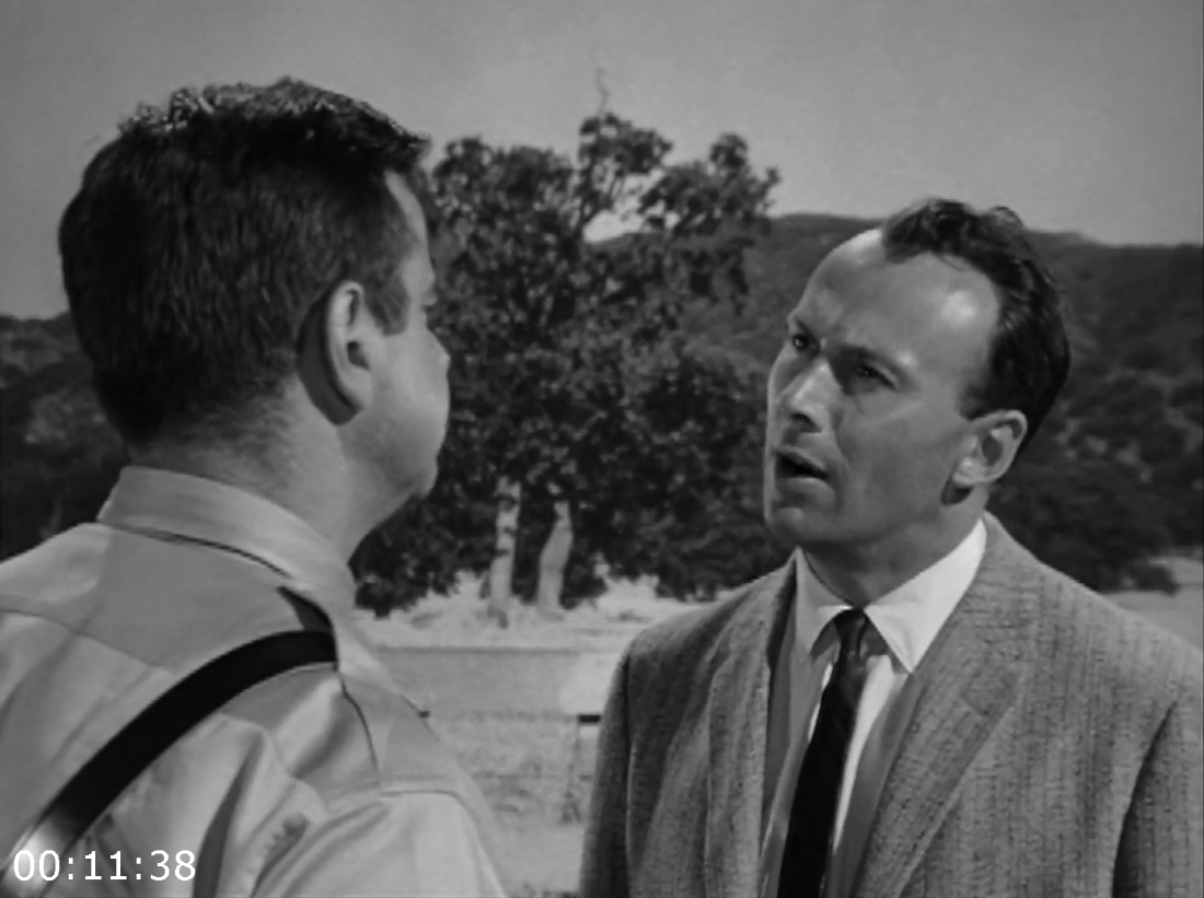 [Kép: ME19HRR2_o.png]