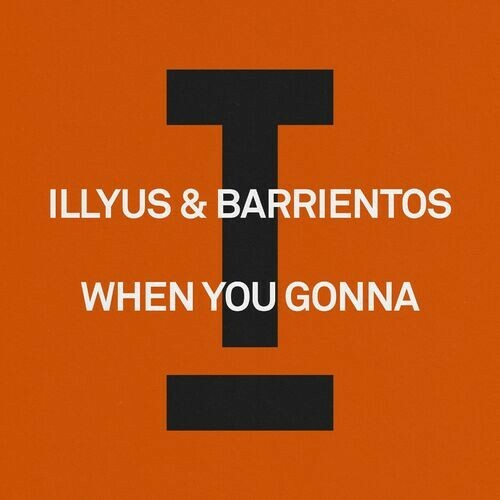  Illyus & Barrientos - When You Gonna (2024) 