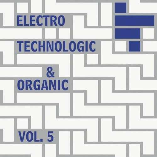  Electro-Technologic & Organic, Vol. 5 (2026) 