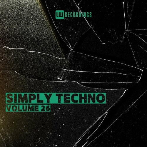  Simply Techno, Vol. 26 (2025) 