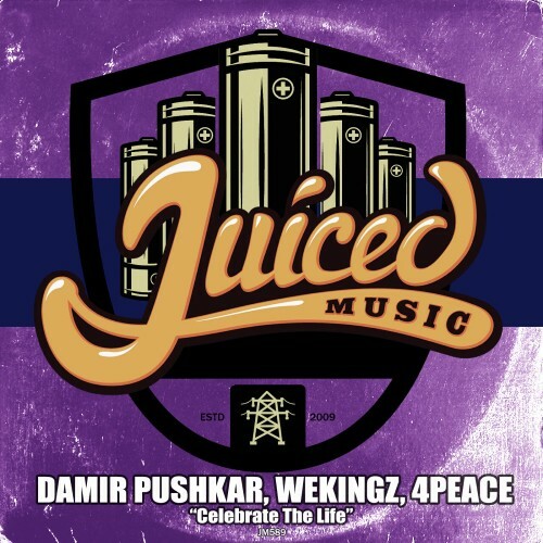  Damir Pushkar & Wekingz & 4Peace - Celebrate The Life (2024) 