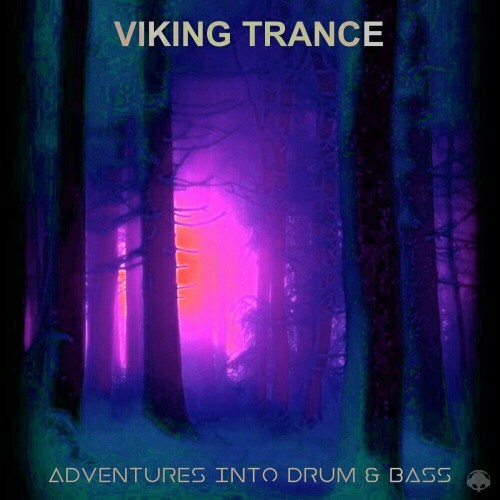 Viking Trance - Adventures Into Drum And Bass (2024) 