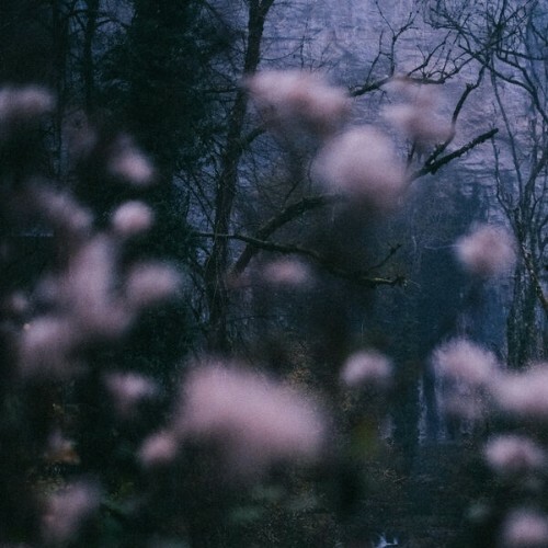  Uchida Sound Labo - A Strange Lullaby (2026) 