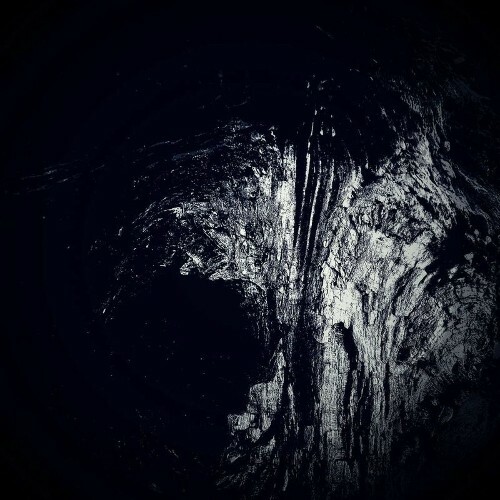 Rolando - B Friend (2025) 