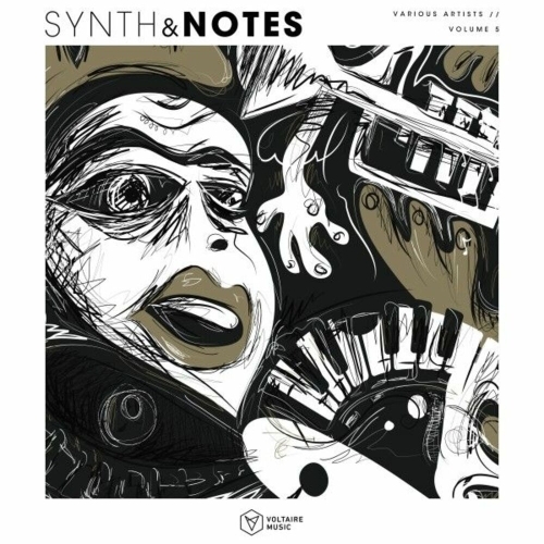  Synths & Notes, Vol. 5 (2025) 