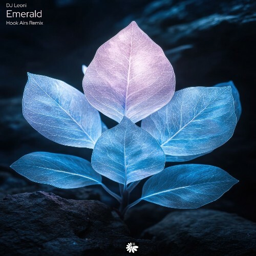 DJ Leoni — Emerald (Hook Airs Remix) (2026)