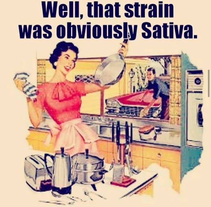 ME11JWRK_o.jpg