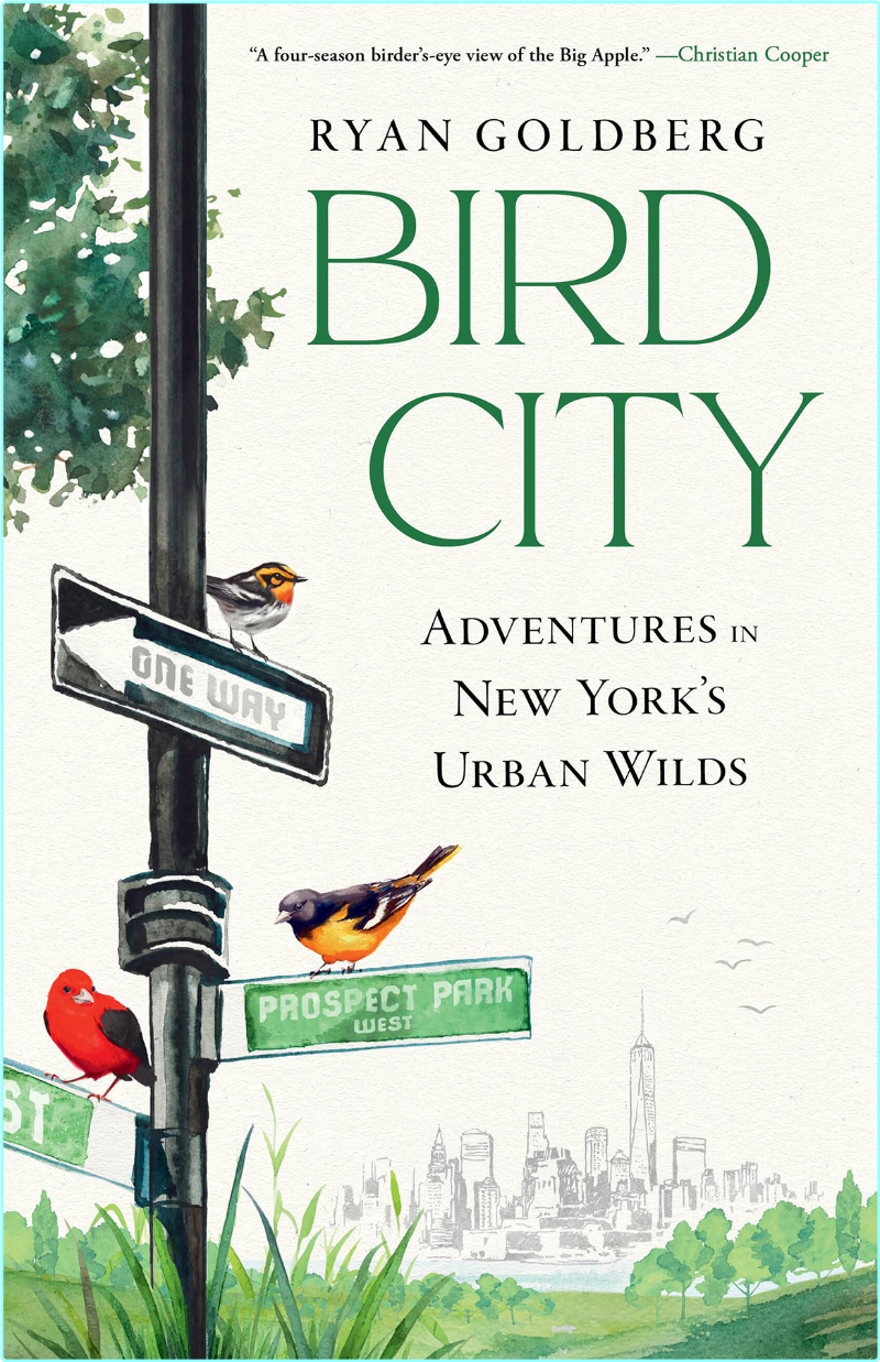 Bird City Adventures In New York’s Urban Wilds By Ryan Goldberg (Ryan Goldberg) Bird City Adventures In New York’s Urban Wilds By Ryan Goldberg (Ryan Goldberg)