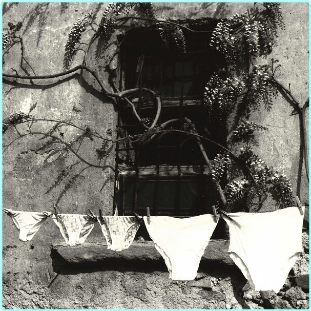 Vaeva Preda Dei Venti (2025) [FLAC 1000 Kbps] – (127 MB)