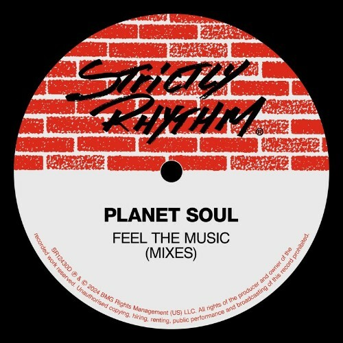  Planet Soul - Feel The Music (Mixes) (2024) 