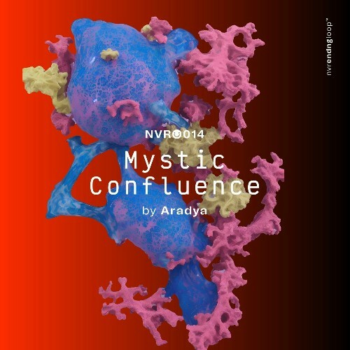 VA - Aradya - Mystic Confluence (2024) (MP3) MEVA4R8_o