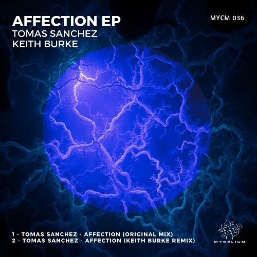  Tomas Sanchez - Affection (2025) 