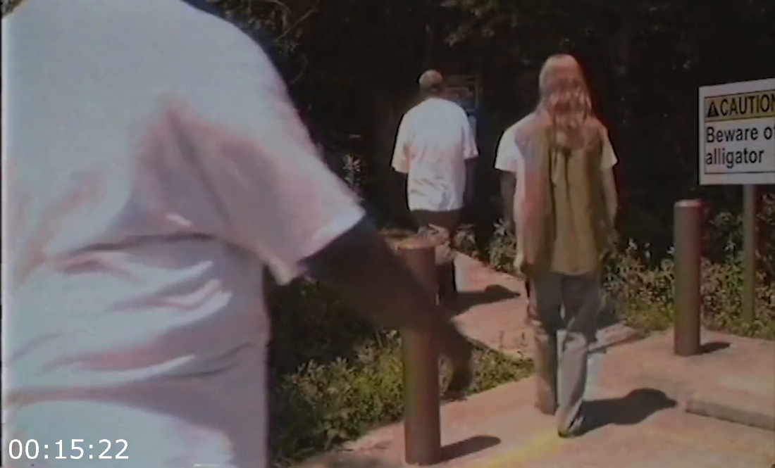 [Kép: ME19SH1W_o.png]