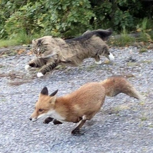 Devon Rexi, Devon Rexi meets John T. Gast - Breathstep (2026) Devon Rexi, Devon Rexi meets John T. Gast - Breathstep (2026)