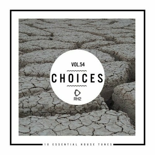  Choices - 10 Essential House Tunes, Vol. 54 (2024) 