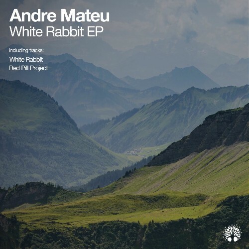 Andre Mateu - White Rabbit (2025) Andre Mateu - White Rabbit (2025)