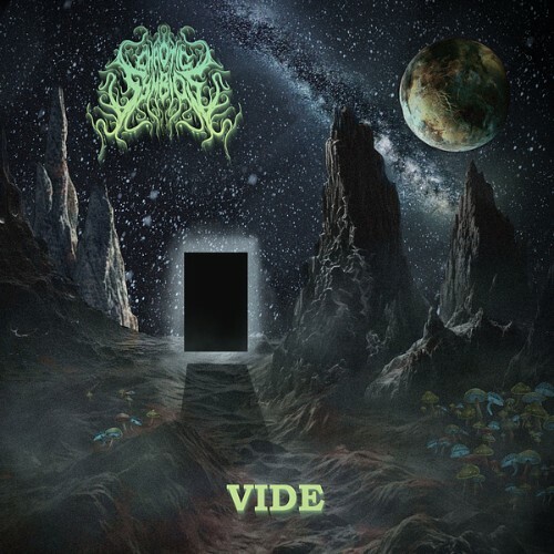  Chaotic Symbios - Vide (2025) 