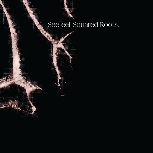  Seefeel - Squared Roots (2024) 