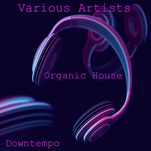  Organic House, Downtempo (2025) 