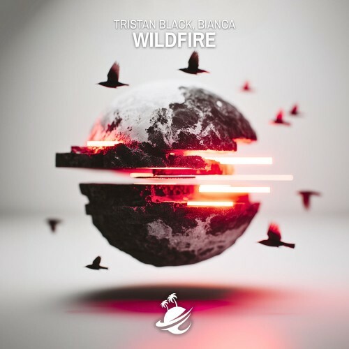  Tristan Black and Bianca - Wildfire (2026) 