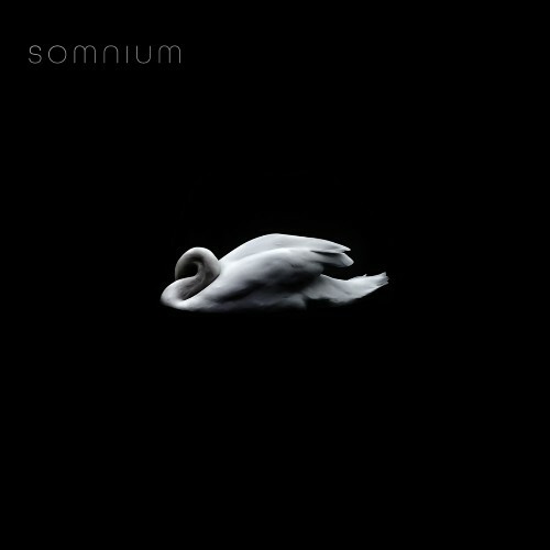  Ebenhaezer Smal - Somnium (2026) 