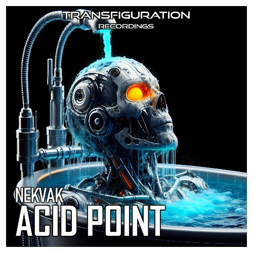 VA - Nekvak - Acid Point (2024) (MP3)