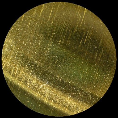  Untidy - Antisense (2025) 