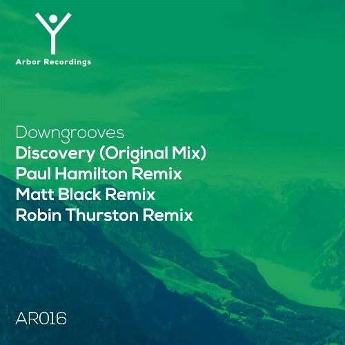  Downgrooves - Discovery (2024) 