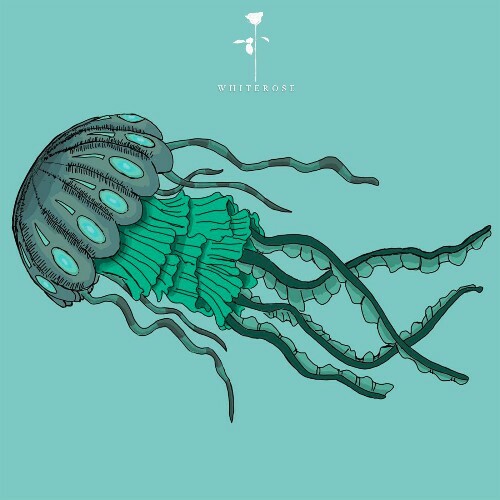 Second Nature — Basement Glow (2026)