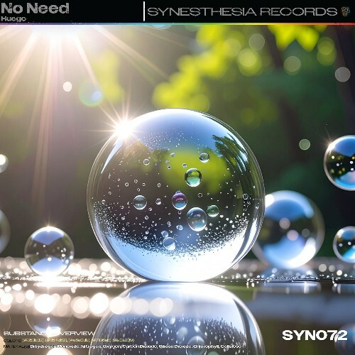  Huego - No Need (2025) 