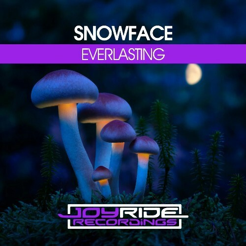  Snowface - Everlasting (2026) 