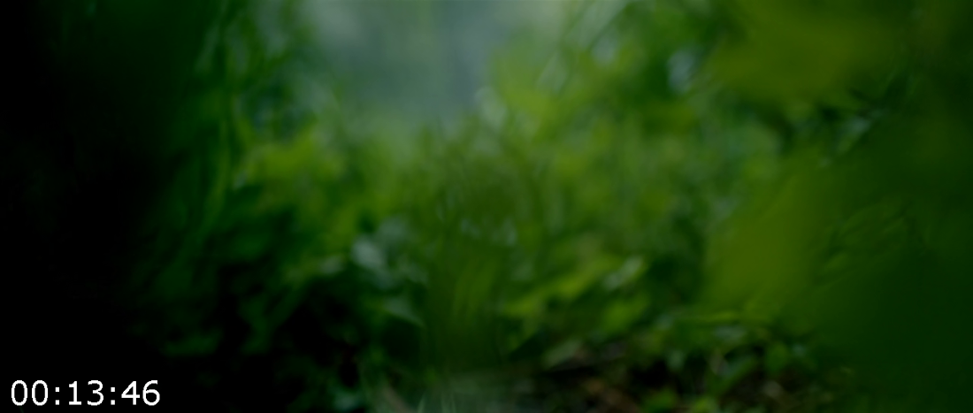 [Kép: ME18YXPS_o.png]