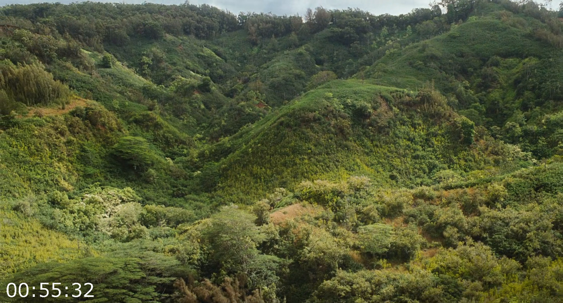 [Kép: ME19XV0S_o.png]