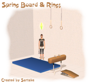 Gym Rings & Spring Board.png