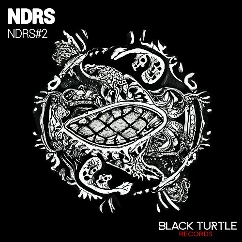  NDRS - Ndrs#2 (2024) 