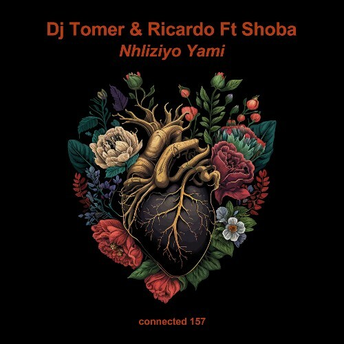  DJ Tomer, Ricardo ft. Shoba - Nhliziyo Yami (2025) 