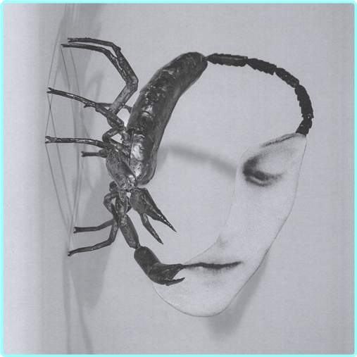 [Image: ME17UR1P_o.png]