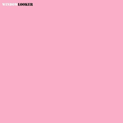  Rico Puestel ft. The Sophiesticated Blindset - Windowlooker (2025) 