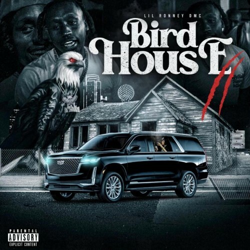  Lil Ronney DMC - Bird House 2 (2024) 