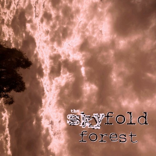  [stranded] - the skyfold forest (2024) 