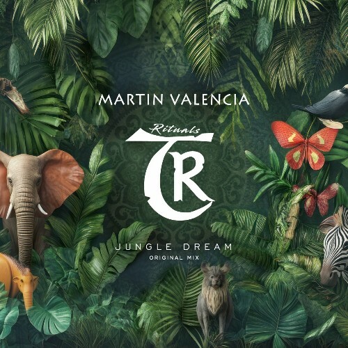  Martin Valencia - Jungle Dream (2024) 