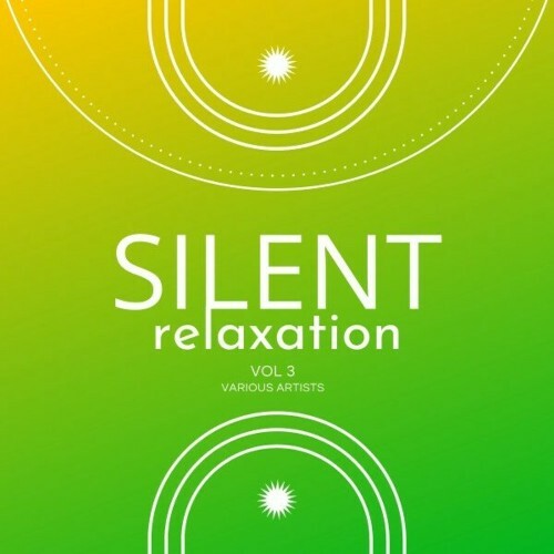  Silent Relaxation, Vol. 3 (2024) 