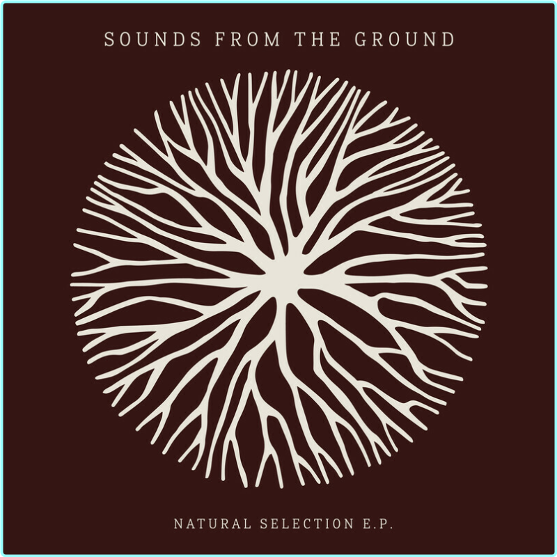 [Image: ME17VYJ3_o.png]