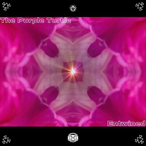 The Purple Turtle — Entwined (2026)