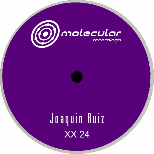  Joaqu&#237;n Ruiz - XX 24 (2025) 