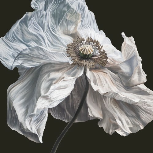  Quicksand - Get to It & Regenerate (2026) 