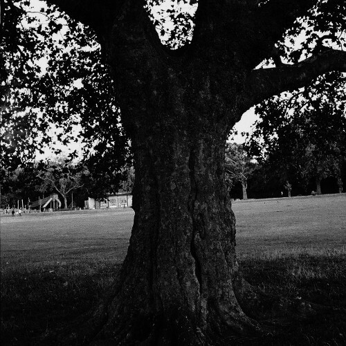  Archy Marshall, King Krule - A New Place 2 Drown (Instrumentals) (2025) 